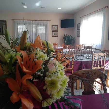 Hotel Primavera-2