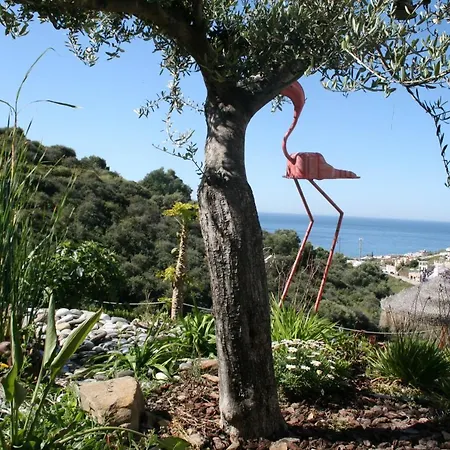 Casa Siempreviva - Recommended For Adults-3